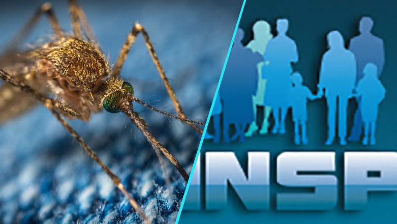 INSP: Primul caz de infectie cu virusul West Nile