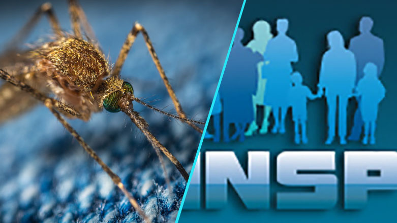 103 cazuri de infectie cu virusul West Nile si 20 de decese (INSP)